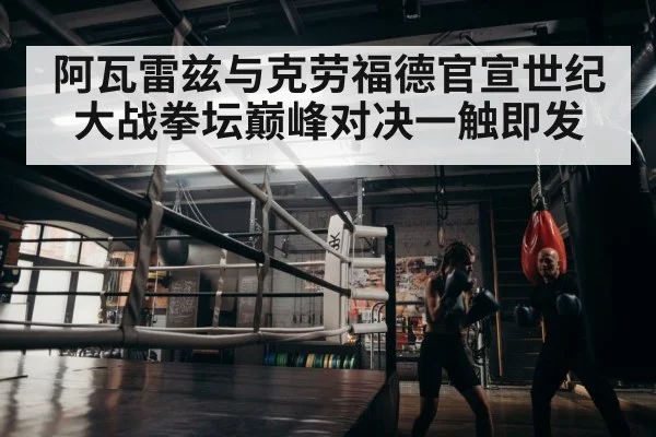 boxer training